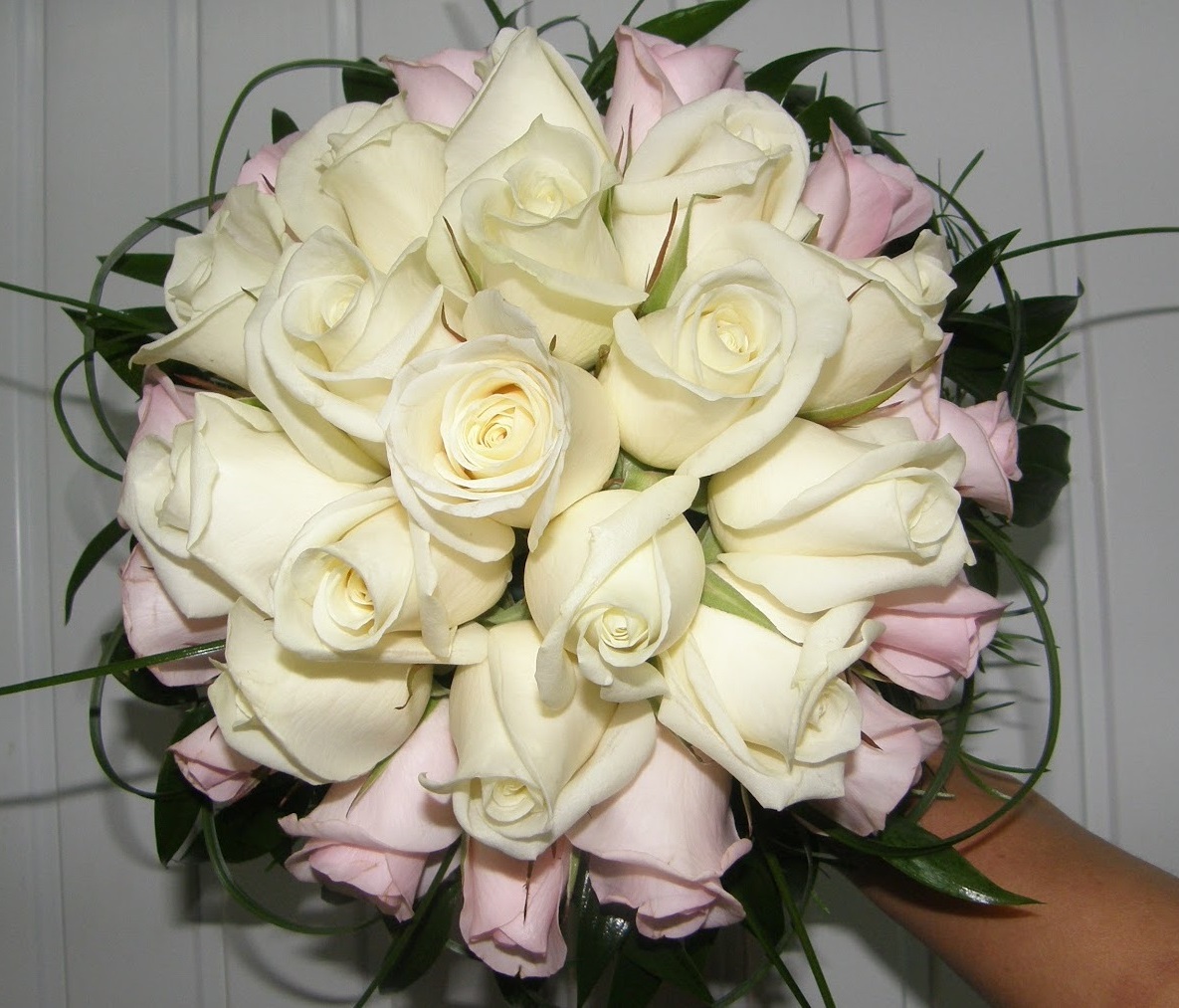 http://magic-flowers24.ucoz.ru/_ph/1/429952663.jpg